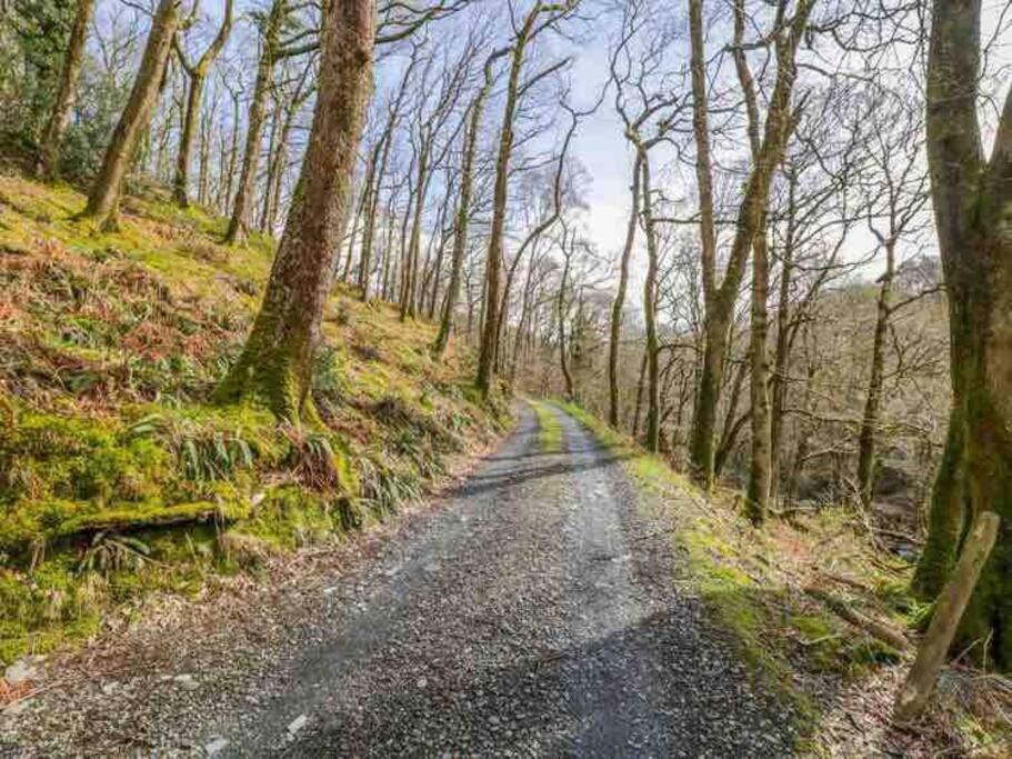Pandy Farmhouse - Panoramic Mountain Views Within Snowdonia'S National Park - 4X4 Recommended Dolgellau Bagian luar foto